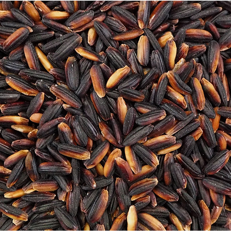 Black Glutinous Rice